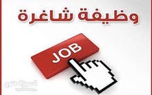 مسؤول ضيافة مسؤول ضيافة