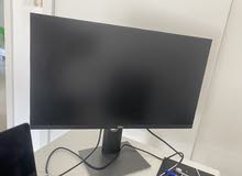 Dell screen monitor