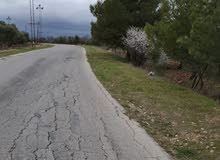 طريق اربد عمان الدولي مزرعه روعه عاليه كاشفه 4 دونم .... ثفره عصفور .... جبا ..... طريق اربد عمان الدولي مزرعه روعه عاليه كاشفه 4 دونم .... ثفره عصفور .... جبا .....