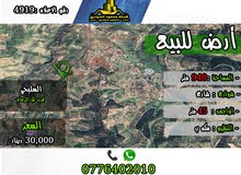 Residential Land for Sale in Jerash Tal Al-Rumman