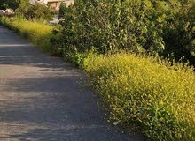 Residential Land for Sale in Ramallah and Al-Bireh Downtown