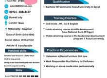 محاسب مصري ابحث عن عمل محاسب مصري ابحث عن عمل