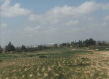 Farm Land for Sale in Amman Al-Kutaifah