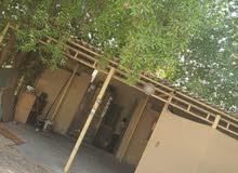بيت للبيع للاستثمار بيت للبيع للاستثمار
