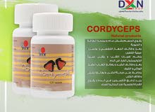 الكوردسيبس الكوردسيبس
