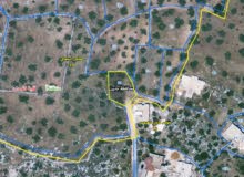 Mixed Use Land for Sale in Jenin Kafr Dan
