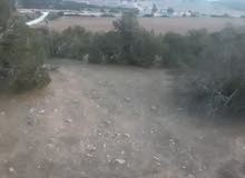 ارض للبيع ارض للبيع