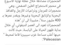 نوادر تاريخية نوادر تاريخية