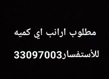 مطلوب أرانب مطلوب أرانب