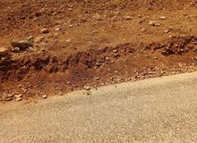 Farm Land for Sale in Mafraq Bala'ama