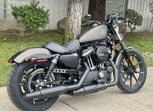 A 2021 Harley-Davidson  XL883N - Iron 883 for auction!