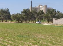 Residential Land for Sale in Ramtha Romtha