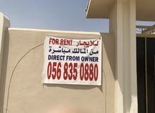 بيت البيع بيت البيع