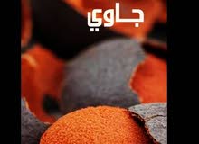 حمر جاوى الرياض حمر جاوى الرياض