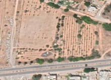 قطعة ارض 840 متر تاجوراء كوبري الشاحنات سيدي خليفة قطعة ارض 840 متر تاجوراء كوبري الشاحنات سيدي خليفة
