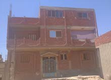 فرصة للاستثمار او السكن منزل 3 ادوار بحي الجناين السويس فرصة للاستثمار او السكن منزل 3 ادوار بحي الجناين السويس