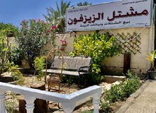 مشـتل الـزيـزفـون مشـتل الـزيـزفـون