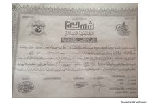 quran teacher quran teacher