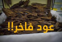 عرض مميز وحصري عرض مميز وحصري