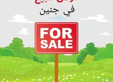 Farm Land for Sale in Jenin Deir Ghazala