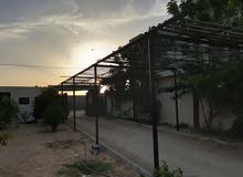 مطلوب مصممة جرافيك مطلوب مصممة جرافيك