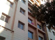 شقق الشارع الرئيسي مهبولة95541747 شقق الشارع الرئيسي مهبولة95541747