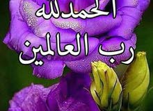 خريج IT ناس حاسوب يعني خريج IT ناس حاسوب يعني