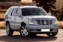 كاديلاك إسكاليد موديل 2010 Cadillac Escalade Hybrid هايبرد بحالة الوكالة صنف 1 بحالة ممتازة !