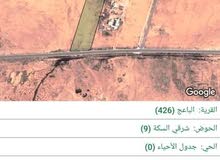 ارض للبيع بمحافظة المفرق الباعج 5500 للدونم ارض للبيع بمحافظة المفرق الباعج 5500 للدونم