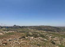 Residential Land for Sale in Amman Naour