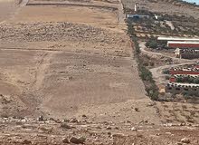Mixed Use Land for Sale in Zarqa Sarout