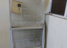 parrots cage parrots cage