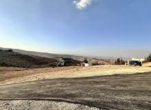 Residential Land for Sale in Zarqa Birayn