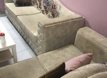 يوجد سكن شيرينغ لشخصين في الجيمي / العين يوجد سكن شيرينغ لشخصين في الجيمي / العين