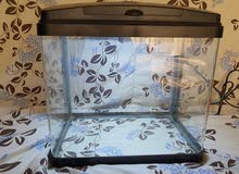 Aquarium Aquarium