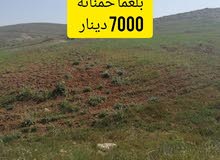 قطع أراضي في بلعما للبيع 7000د قطع أراضي في بلعما للبيع 7000د