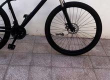 سيكل ترفيع : Bicycles Bicycles 29 : Muscat Al Maabilah 170257729 : OpenSooq
