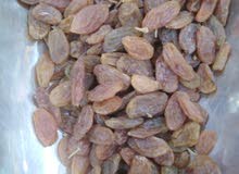 عسل مع اعشاب للانجاب جميع انواع العسل اليمني عسل مع اعشاب للانجاب جميع انواع العسل اليمني
