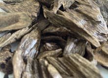Oud (Agarawood) Sri Lankan Oud (Agarawood) Sri Lankan