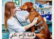 طبيبه بيطريه مقيمه طبيبه بيطريه مقيمه