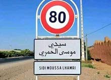الارض للبيع مسحتها هكتار تيتر الطريق الرئيسي أغادير تارودانت عبر جماعة سيدي موسى الحمري الارض للبيع مسحتها هكتار تيتر الطريق الرئيسي أغادير تارودانت عبر جماعة سيدي موسى الحمري