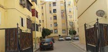 سلام عليكم كاين سكنة للكراء في حي 600 مسكن f3 (باب الحارة) 3em itage حي محترم + سلام عليكم كاين سكنة للكراء في حي 600 مسكن f3 (باب الحارة) 3em itage حي محترم +