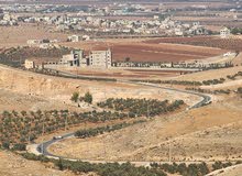 Farm Land for Sale in Jerash Qafqafa