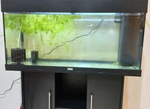 Juwel 1 meter aquarium