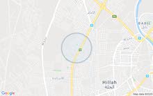 عقار للايجار العنوان بابل حله شارع 60 استداره علي بقلي شارع عريض 20 متر عقار للايجار العنوان بابل حله شارع 60 استداره علي بقلي شارع عريض 20 متر