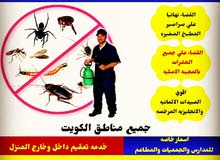 اباده الحشرات والقوارض اباده الحشرات والقوارض