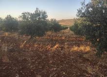 Mixed Use Land for Sale in Jerash Other