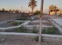 قطعة ارض زراعية قطعة ارض زراعية