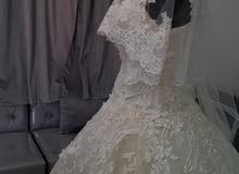 Weddings and Engagements Dresses in Al Batinah