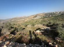 Residential Land for Sale in Ramallah and Al-Bireh Abwein